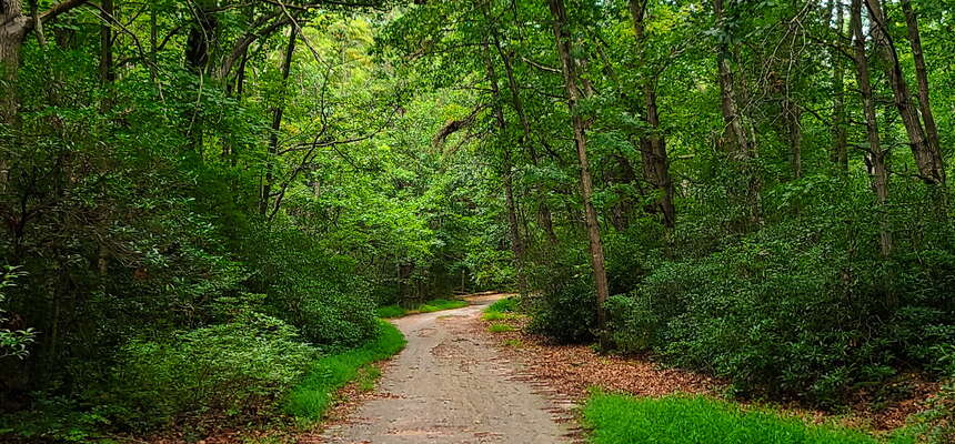 A Short Hike in the Allaire MTB Trail Off Hospital Rd
