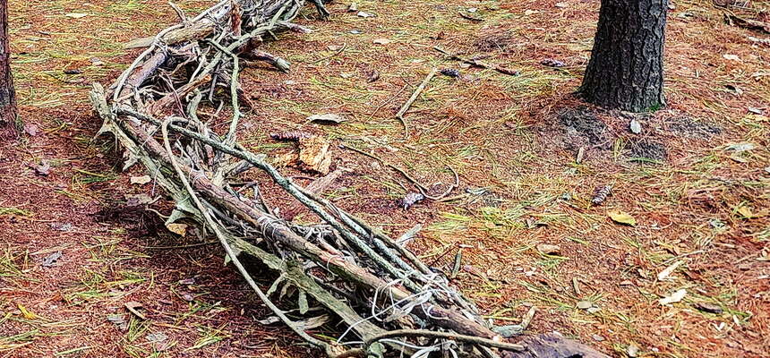 The Dinosaurs in Allaire State Park have been vandalized