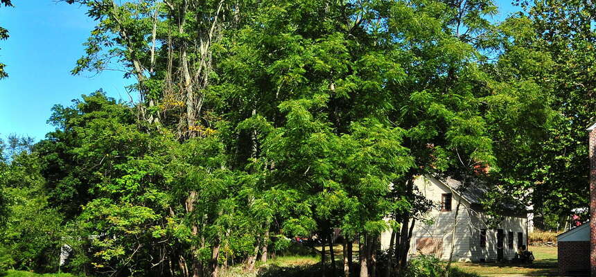 New POI: Historic Allaire Village