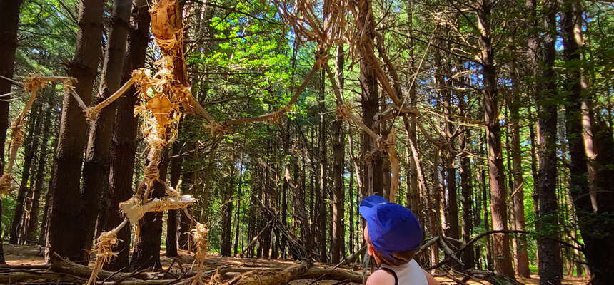 A New Map to the Dinosaurs is available!