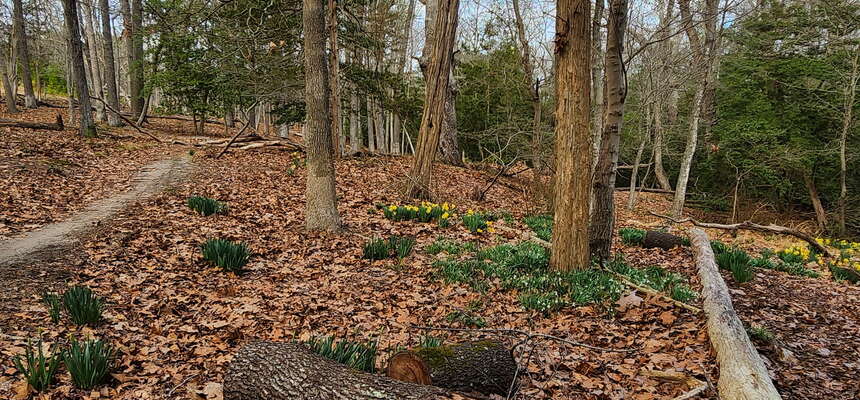 A spring hike near the group campground
