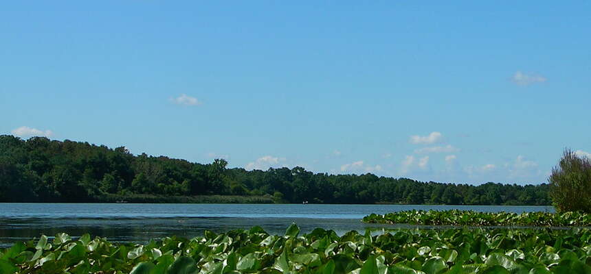 NJ State Parks and Many County Parks Reopen!